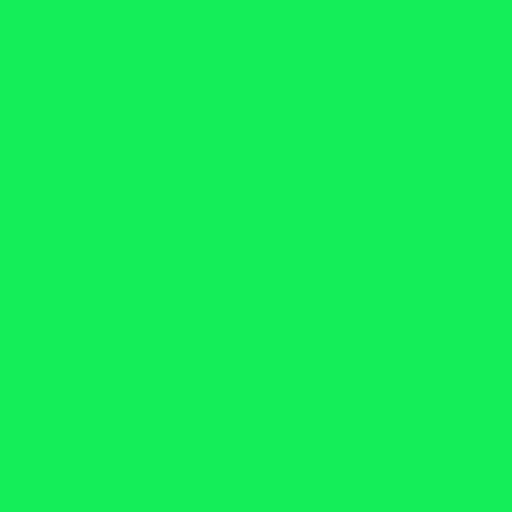 Siser P.S/Easyweed HTV - 30cm x 30cm Sheet