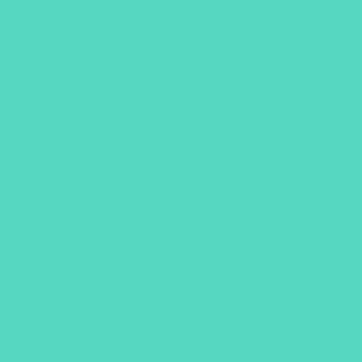 Siser P.S/Easyweed HTV - 30cm x 30cm Sheet