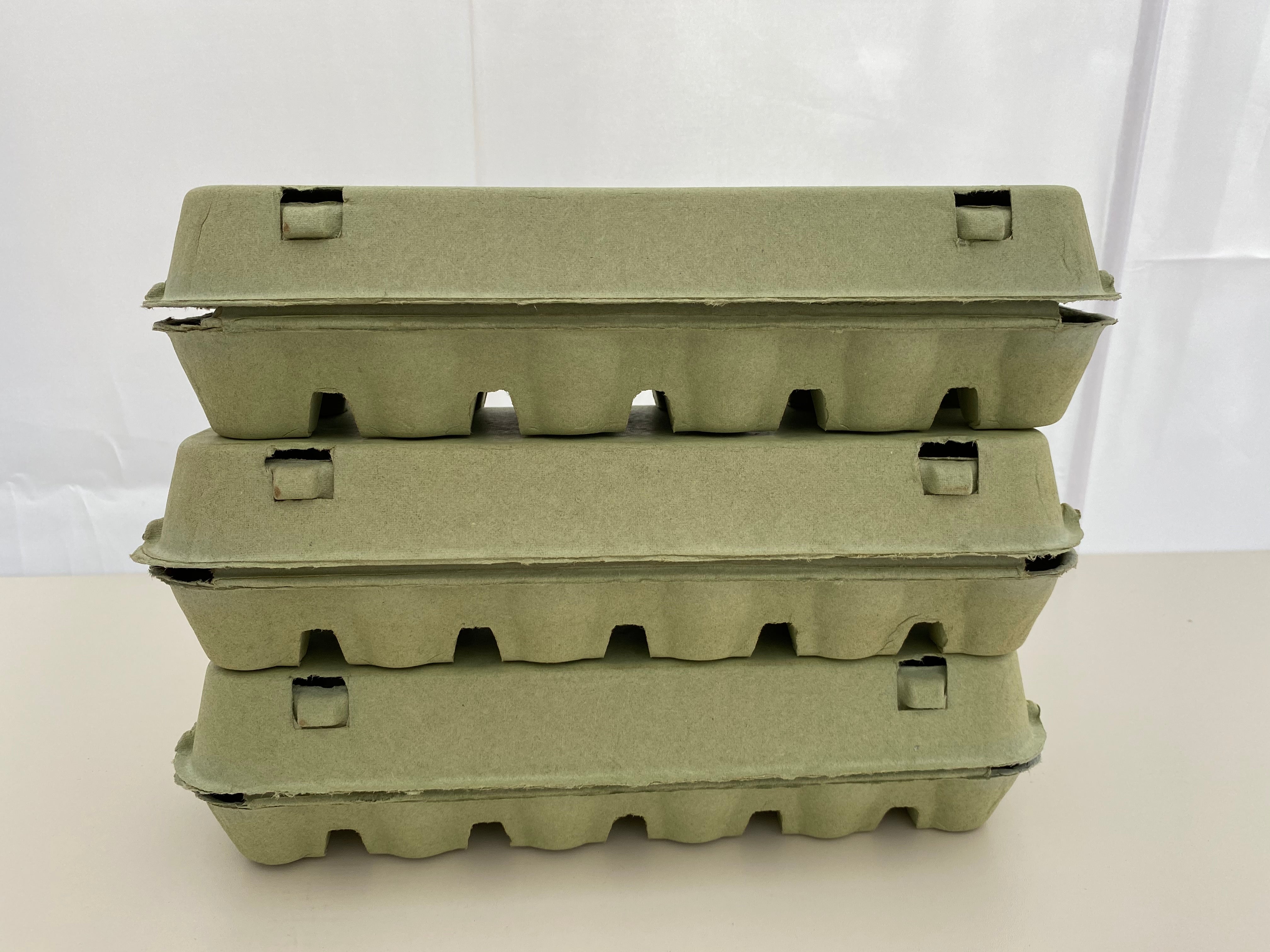 Egg Carton Packs - 6pce